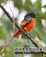 �Һ�ɽ����