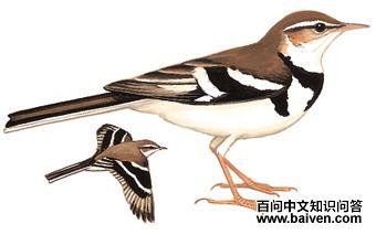 ɽ�n�_����̬����ͼ