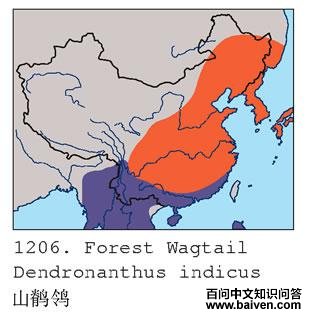 ɽ�n�_�������ֲ�ͼ