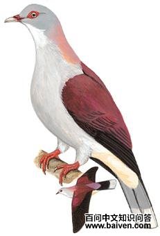 ɽ��汎��̬����ͼ