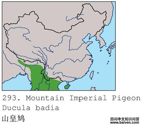 ɽ��汎�����ֲ�ͼ