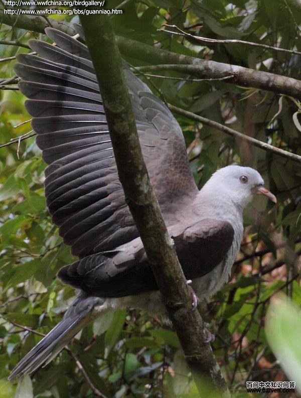 ɽ��汎���ں��ϵ�