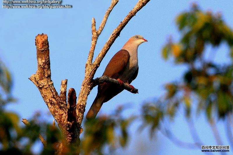 ɽ��汎���ں��ϵ�