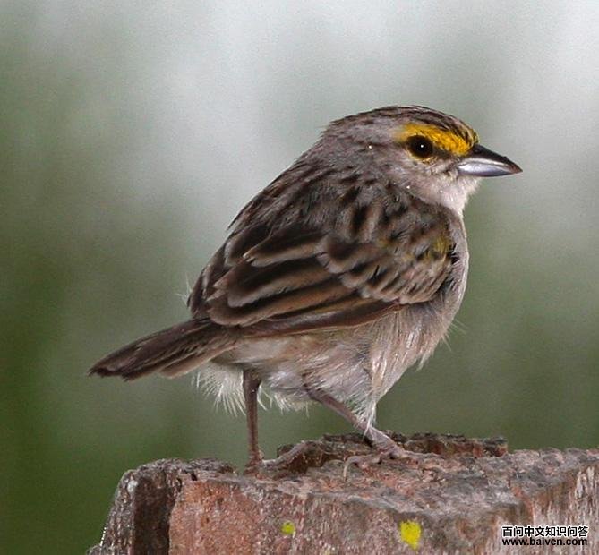 ɳ�c����ͼƬ