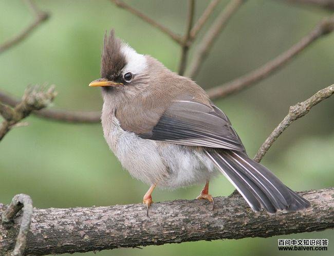 ������̵�ͼƬ