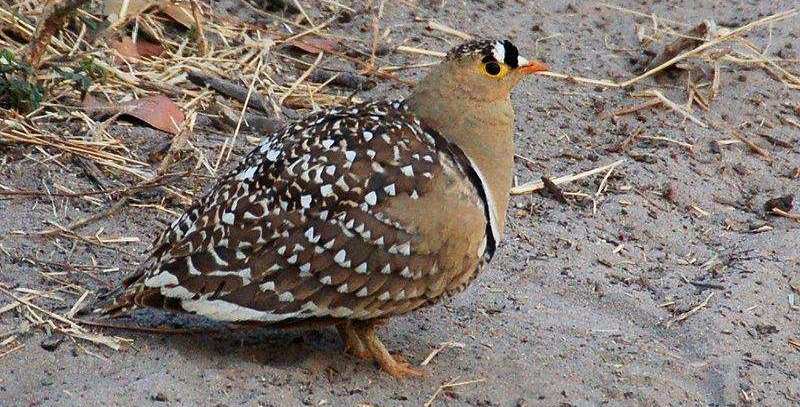 ɳ���Ƶ�ͼƬ