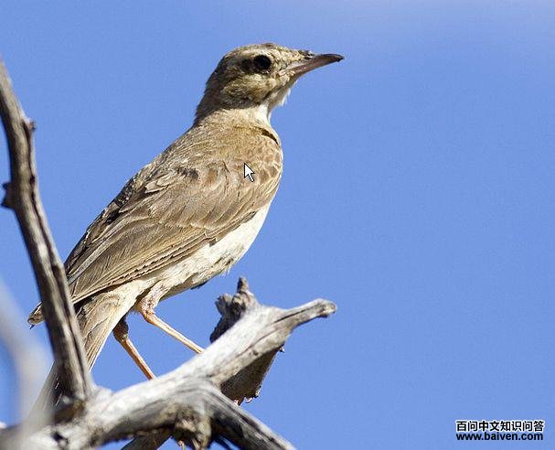 ɳ���ҵ�ͼƬ