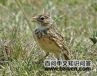 ɳ��������ͼƬ