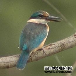 �����������ͼƬ