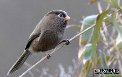 ��ֺѻȸ��ͼƬ