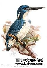 �µ�����