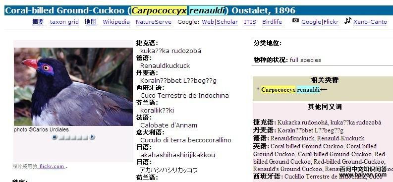 ���Ϻ���ؾ�