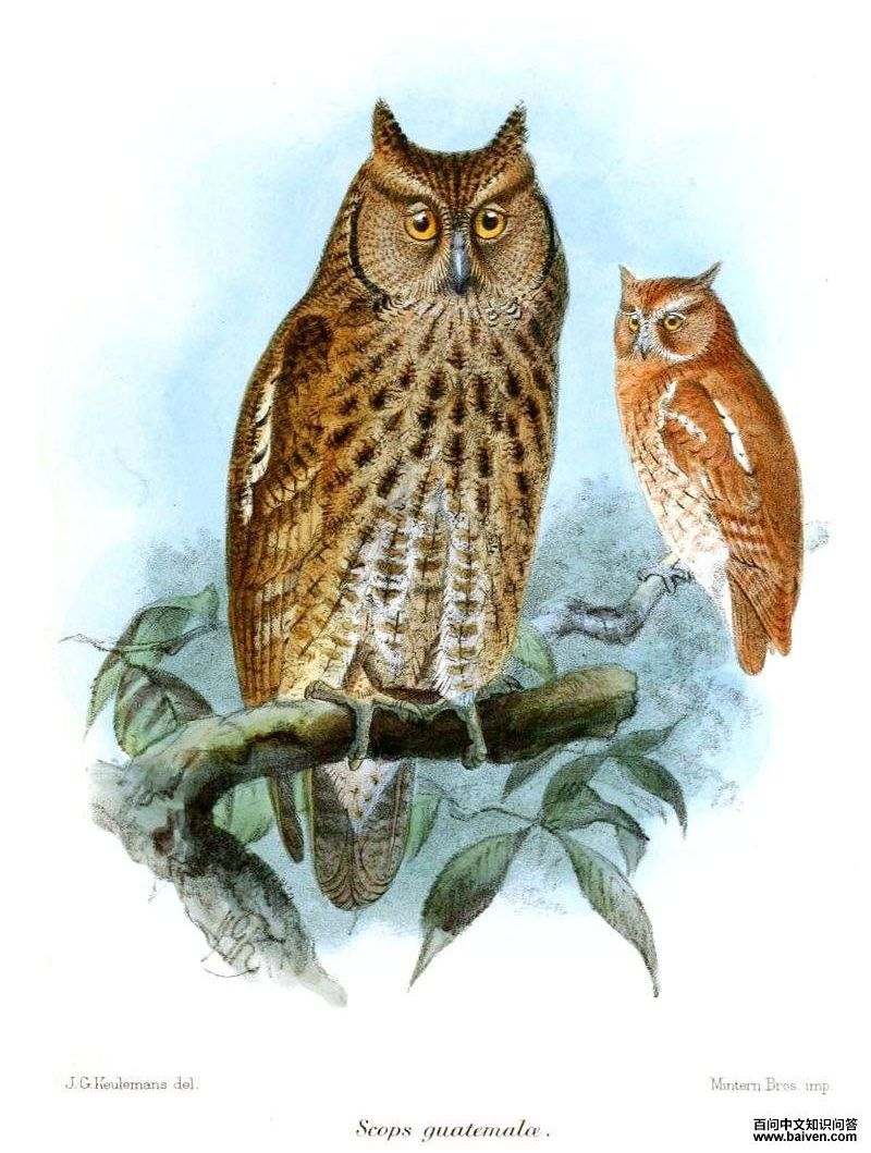 ���ƽ��^��ͼƬ