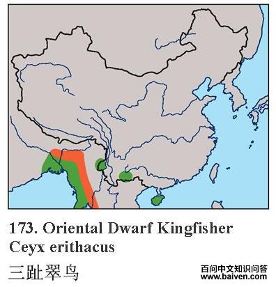 ��ֺ���񣺵����ֲ�ͼ