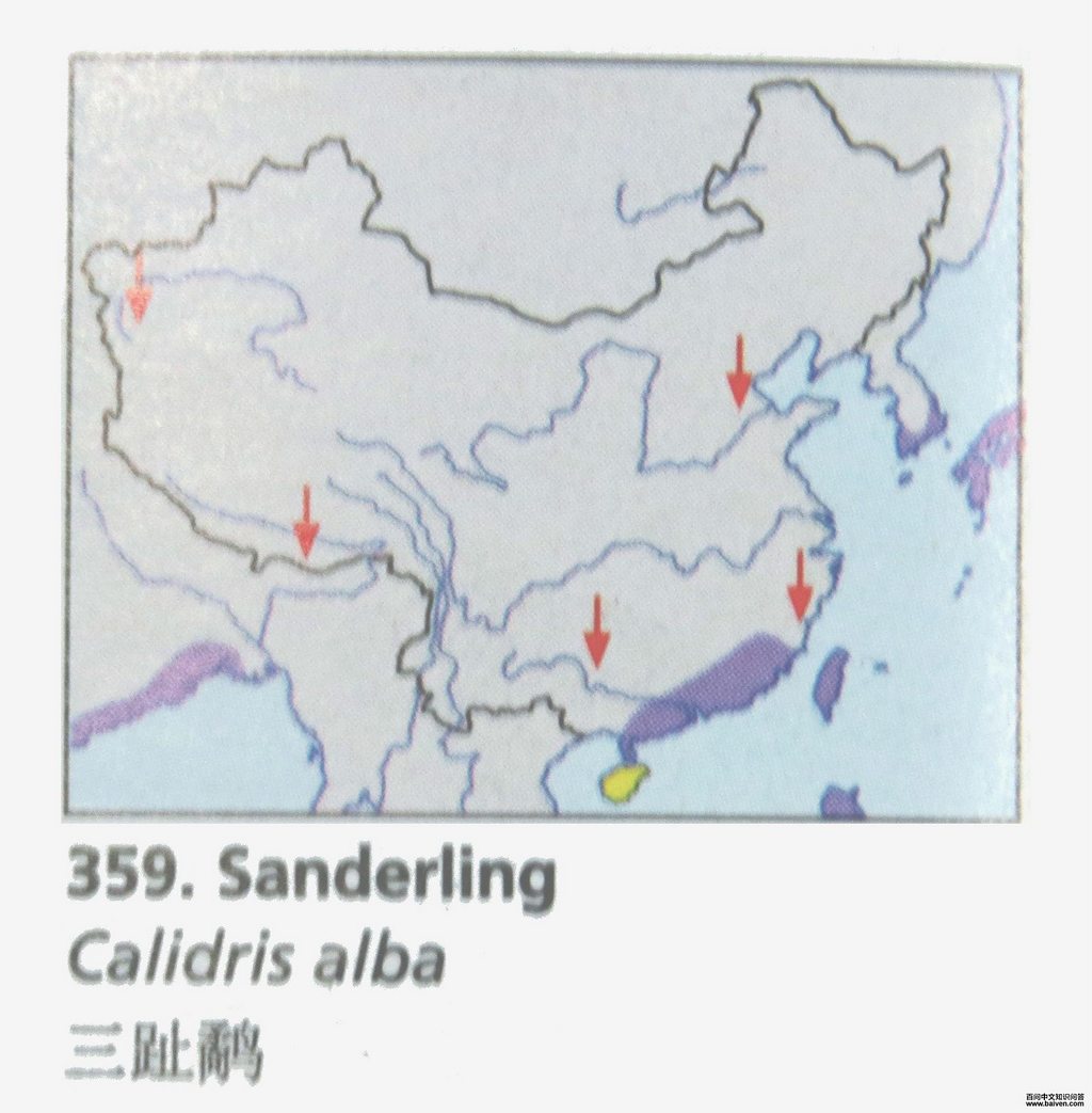 ��ֺ���֣������ֲ�ͼ