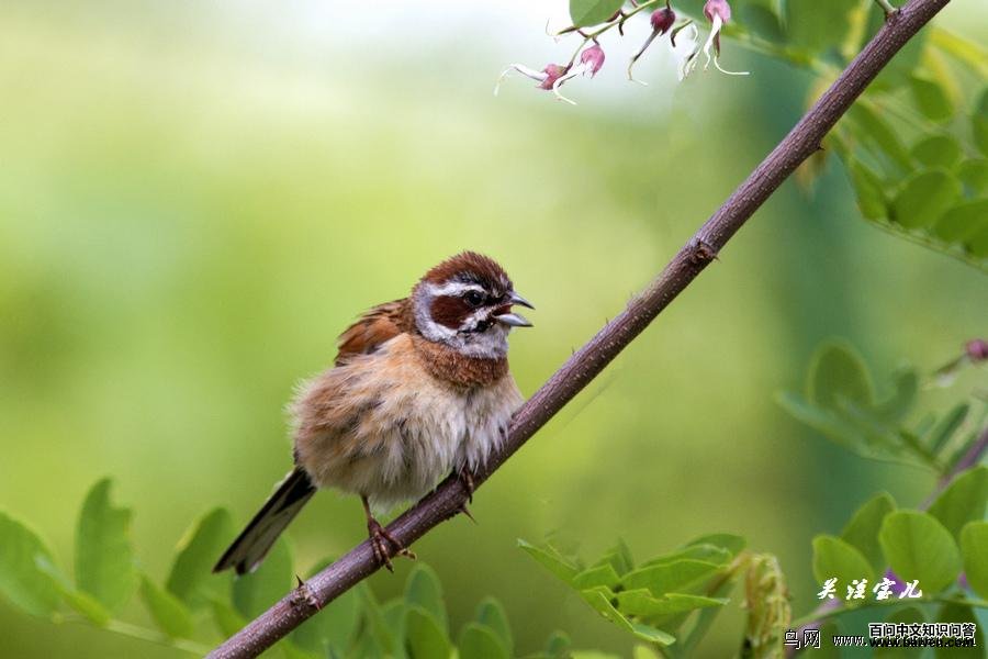 ����ü���c�ְ�