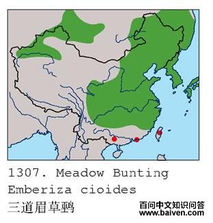 ����ü���c�������ֲ�ͼ