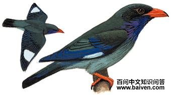 ��������̬����ͼ