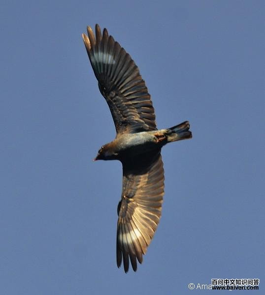 �������ǳ���