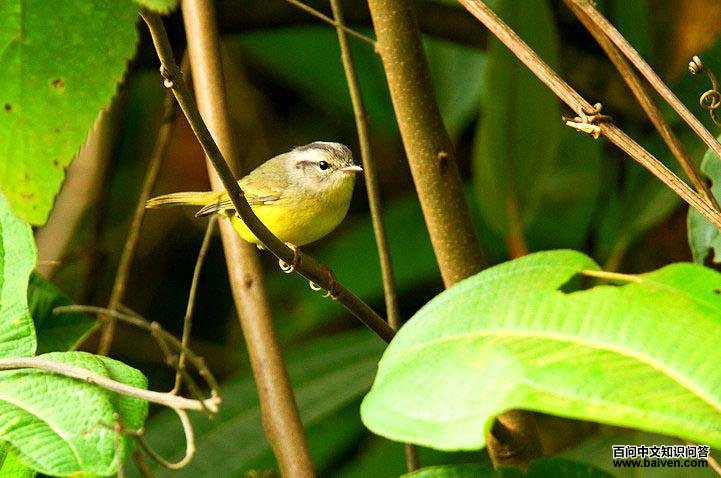 ������ɭݺ��ͼƬ