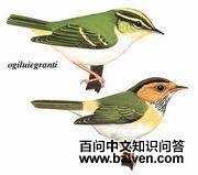 ������ݺ