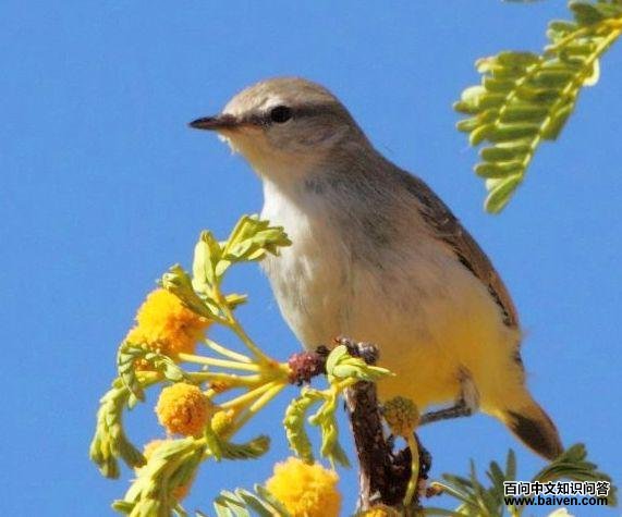 ���Ϲ�ݺ��ͼƬ