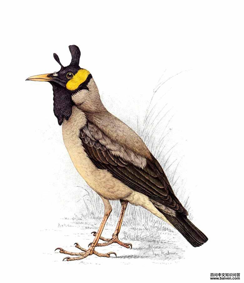 �ⴹ�����������ͼ