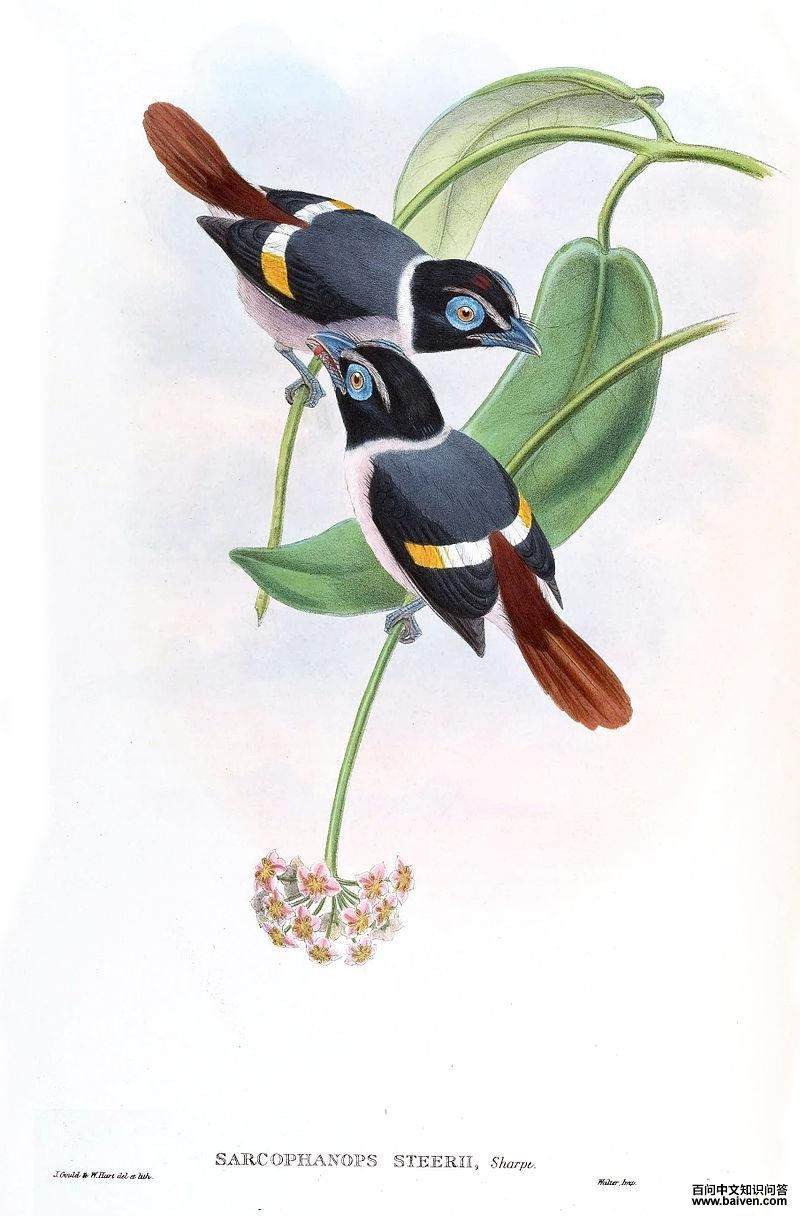 �ⴹ�������ͼƬ