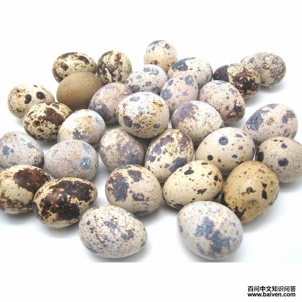 �ձ�����