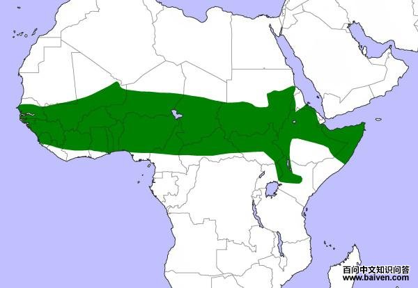 �������^�������ֲ�ͼ