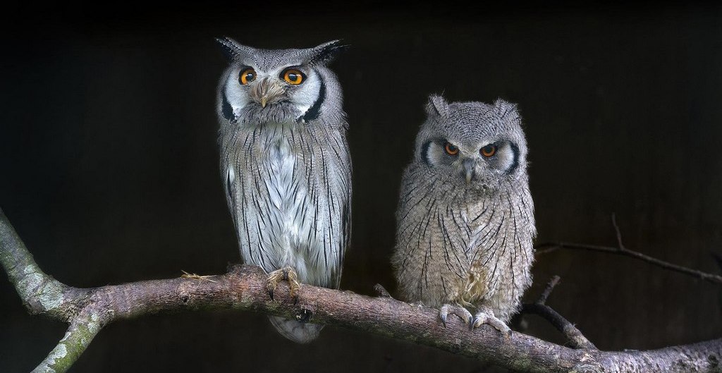 �������^