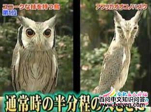 �������^��������ǰ��