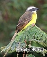 Ⱥ�ܶ�����l