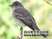 �ȴ��̰��l