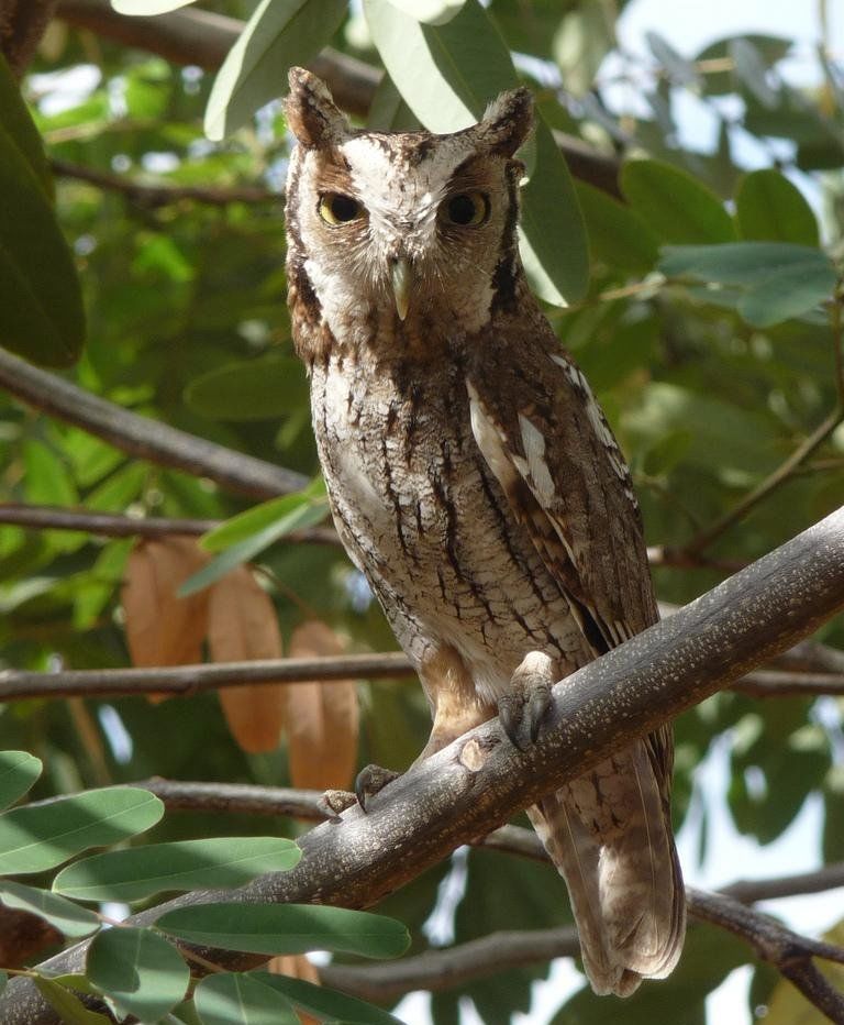 �ȴ����^��ͼƬ