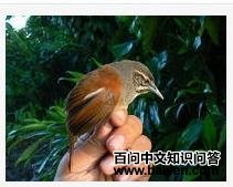 ��έ���ӵ�ͼƬ