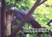 ��������ͼƬ