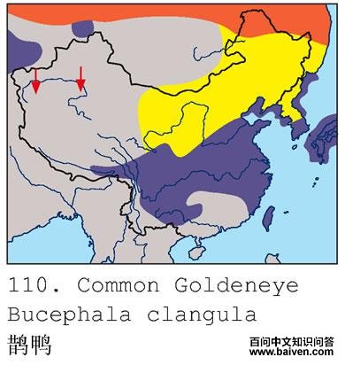 ȵѼ�������ֲ�ͼ