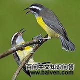 ����ɭݺ��