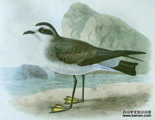 ���������ͼƬ