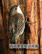 ������ľȸ��