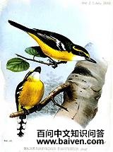 �����l��