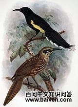 �������������