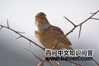 ȸ������ͼƬ