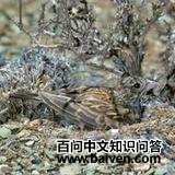 �ڶ�ȸ����