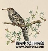 �Ұ���������