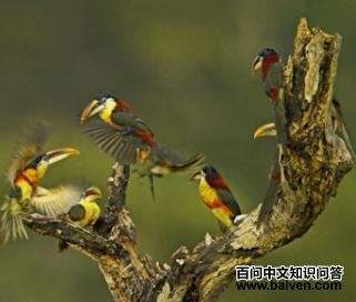 ���ڴ��������