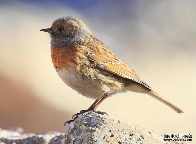 ����ҵ�ͼƬ