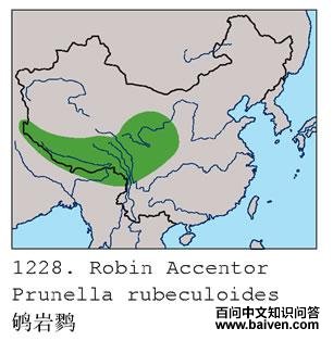 ����ҵ����ֲ�ͼ