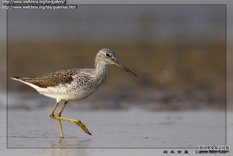 ����ֵ�ͼƬ